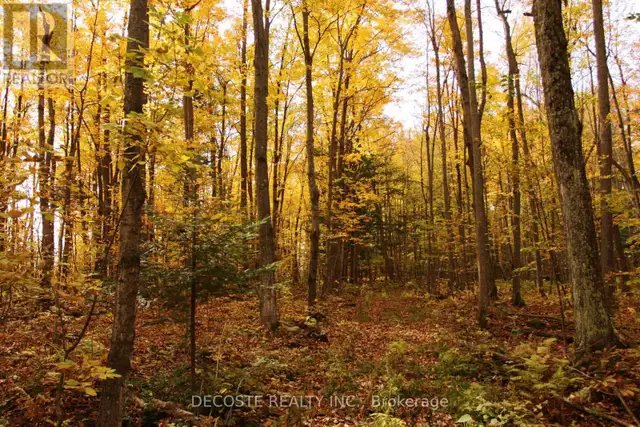 0000 COUNTY 43 ROAD North Glengarry, Ontario in Land for Sale in Ottawa - Image 24