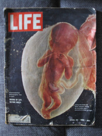 Life Magazine April 30 1965 Drama of Life