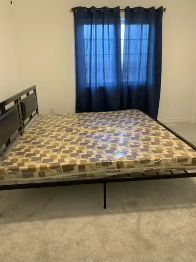 Private Room (Primary Bedroom) with Full Washroom / Walk-in Closet, Full Size Kitchen with Standard...