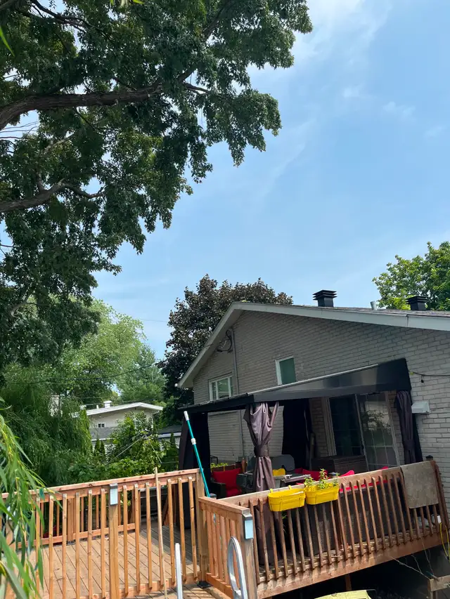 Pruning and Tree Trimming595971078452029441