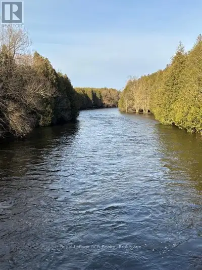 9 ACRE COUNTRY PARCEL WITH THE SAUGEEN RIVER, MOSTLY ALL MIXED BUSH AND CEDAR, TRAILS THROUGH THE BU...