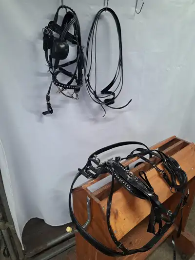 MINI BIO HARNESS, View more