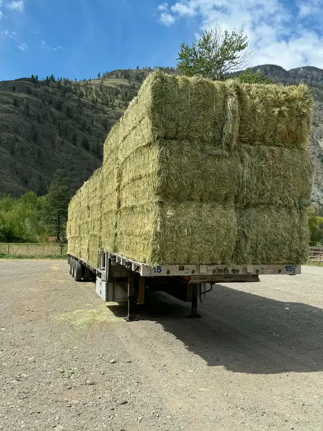 Timothy / Alfalfa /mix hay in Livestock in Penticton - Image 9