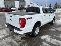 Passionate enthusiasts wanted for this sexy and dynamic 2021 Ford Ranger . Take pleasure in the butt... (image 4)