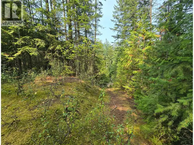 BALFOUR Avenue Lot# LOT 8 Kaslo, British Columbia in Land for Sale in Nelson - Image 9