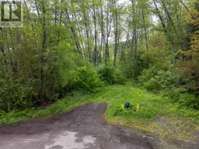 Beautiful 1.66-acre treed lot on Maple Street, offering a peaceful setting with ample space to build...