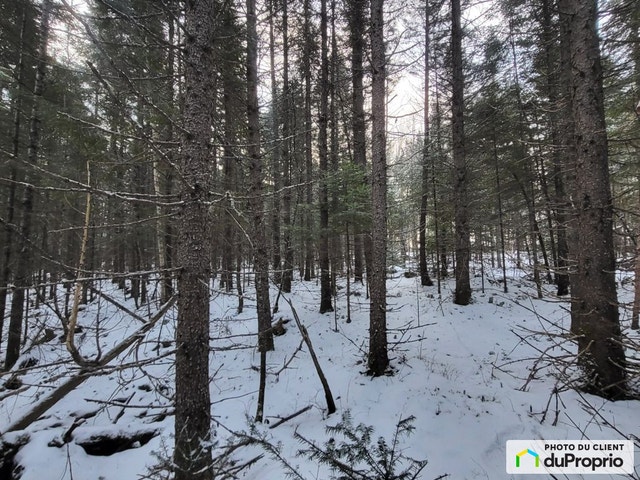 $55,000 - Residential Lot for sale in Lac-Aux-Sables — photo 2