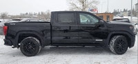 2022 GMC Sierra 1500 Elevation Pickup 4WD/4-Wheel Drive/4x4 with a large Touch screen. SAFETY FEATUR... (image 6)