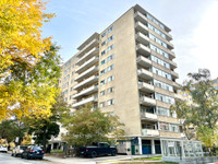 1 Bedroom Apartment for Rent - 100 Gloucester St and 105 Isabell