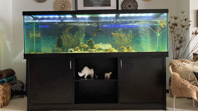 Top Fin LED Aquarium & Stand Ensemble 125 Gallon | Accessories | Ottawa |  Kijiji