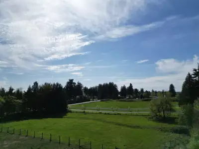 10 ACRES IN BRADNER! Build your dream estate on this beautiful property located on Buchanan Ave, a q...