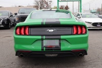NO ACCIDENT Unleash the thrill of the open road with the 2019 Mustang Ecoboost Coupe. With its bold... (image 5)