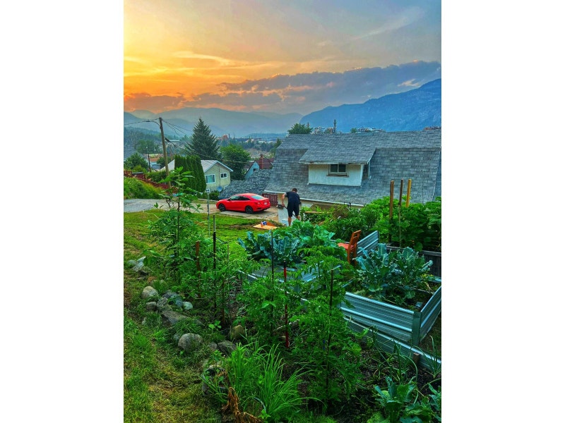 303 MARTIN STREET Trail, British Columbia Houses for Sale Nelson