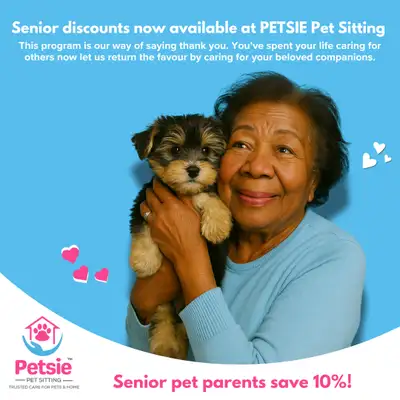 Dog Walking in Toronto – Reliable, Caring & Local , View more