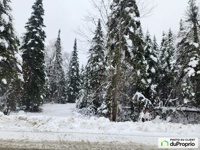 0$ - Prix taxes en sus - Terre à bois à vendre à Milan dans Terrains à vendre  à Sherbrooke - Image 4