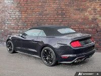 Come see this 2022 Ford Mustang GT Premium before it's too late! *Get Your Money's Worth for this Fo... (image 2)