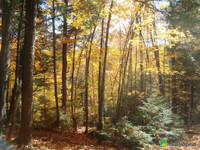 300 000$ - Terrain résidentiel à vendre à La Pêche