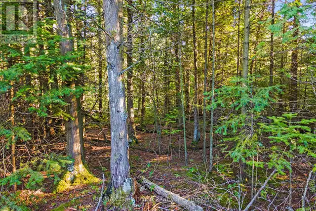 30 HURON PARK ROAD Northern Bruce Peninsula, Ontario in Land for Sale in Owen Sound - Image 19