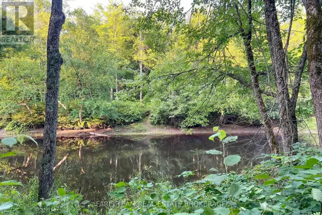 PART LOT 28 CONCESSION 12 BLACK RIVER ROAD Kawartha Lakes (Dalto in Land for Sale in Barrie - Image 11
