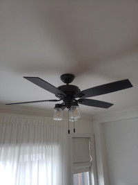 Ceiling light with fan