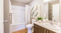 Broadstreet's Dansereau Apartments offers 1, 2, and 3 bedroom pet friendly apartments, and 3 bedroom... (image 6)