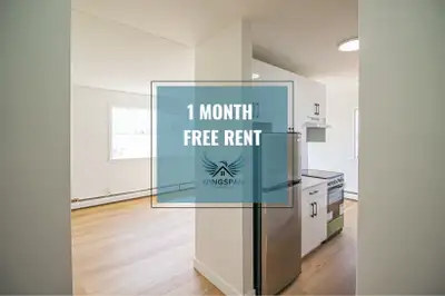 Studio Raven at Rosedale Apartments  - 10959 97th