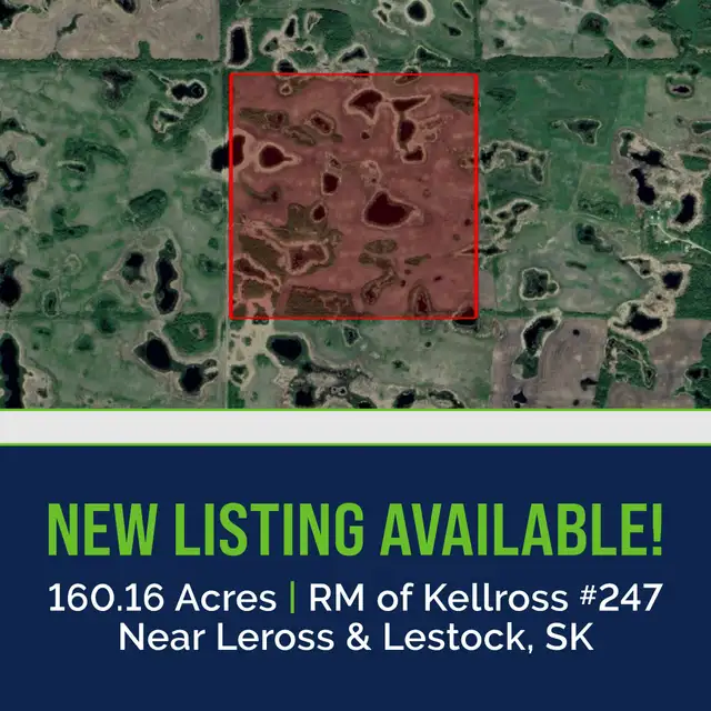 1 Quarter of Productive Farmland | Near Leross & Lestock, SK