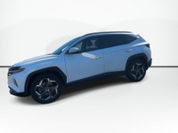 You voted us #1 New & Used Car Dealer two years in a row! Thank you, Saint John! 500+Used * Why buy... (image 4)