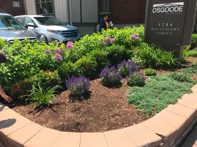 property maintenance63347532155009122