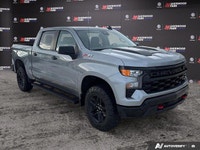 Come see this 2024 Chevrolet Silverado 1500 Custom Trail Boss before it's too late! *You Can't Beat... (image 7)