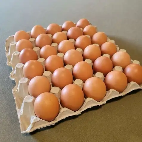 fresh farm eggs for sale Brampton in Other in Mississauga / Peel Region - Image 2