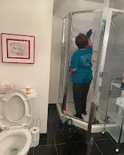 Cleaner, cleaning, House cleaners, Cleaning lady  647.4.24.43.89, View more