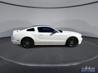 City Ford is Family Owned and Operated serving Edmonton and area for Over 37 Years - Over 300 New &... (image 8)
