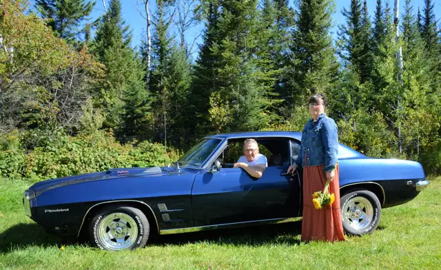 1969 Firebird506741282120683528
