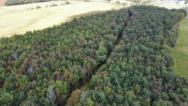 St-Christophe-d’Arthabaska : Terre à bois de 27.57 acres dans Terrains à vendre  à Victoriaville - Image 2