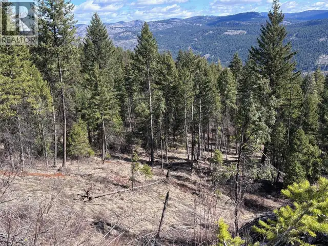 Lot 2 Hulme Creek Road Rock Creek, British Columbia in Land for Sale in Penticton - Image 8
