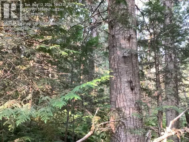BLK D DOME CREEK Dome Creek, British Columbia in Houses for Sale in Quesnel - Image 14