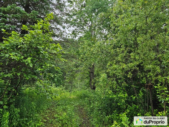 $139,000 - Residential Lot for sale in Dudswell (Marbleton) — photo 2