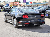 2021 Ford Mustang EcoBoost Premium One Owner | Accident-Free! Turn heads with this 2021 Mustang EcoB... (image 5)