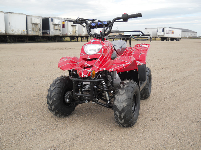 SPECIAL CLEARANCE SALE ON ATVS/QUADS/DIRT BIKES/DUNE BUGGYS/UTVS in ATVs in Winnipeg - Image 3