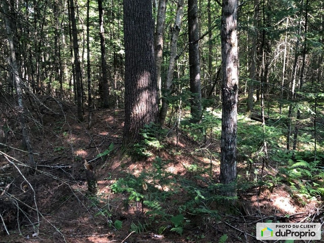 $76,475 - Residential Lot for sale in Stratford — photo 3
