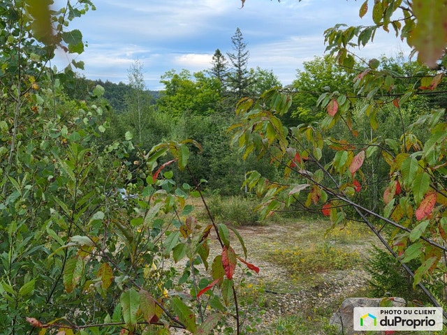 $175,000 - Residential Lot for sale in Ste-Beatrix — photo 3