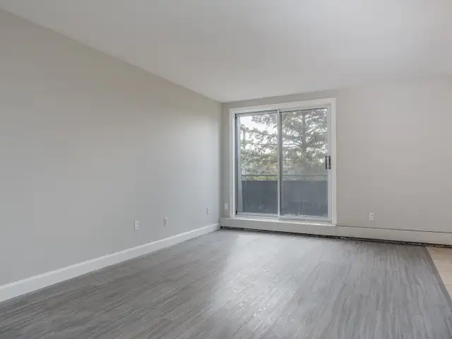 Tillsonburg Studio Apartment for Rent: in Long Term Rentals in Norfolk County - Image 17