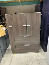 Teknion Storage with Filing Cabinet