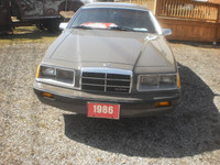 1986 cougar