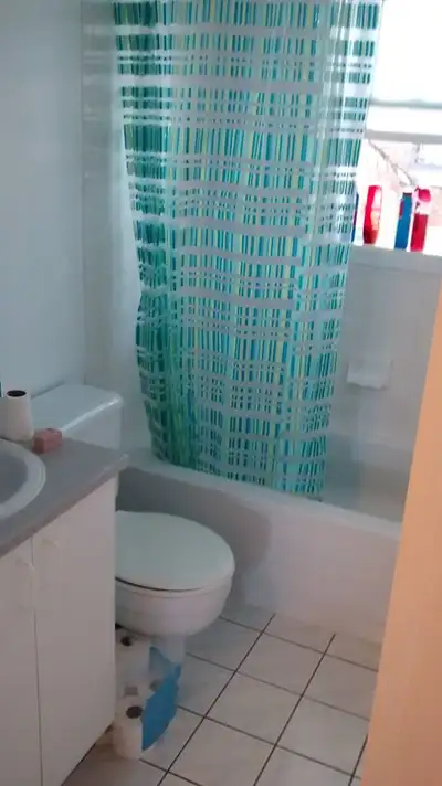 4 Entièrement rénové Très propre, planchers bois franc, entrée laveuse sécheuse, balcon privé. Rénov...