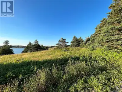 Own your very own piece of the scenic Cape Shore in Point Verde! This beautiful lot offers sweeping...