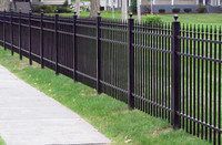 Wrought Iron and aluminum gates, fences, side gates, walk gates