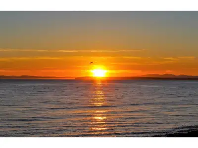 Rarely available 4 ocean view lots lot in Ocean Park! Ranging from 6,027 up to 19,514 sq. ft. Enjoy...