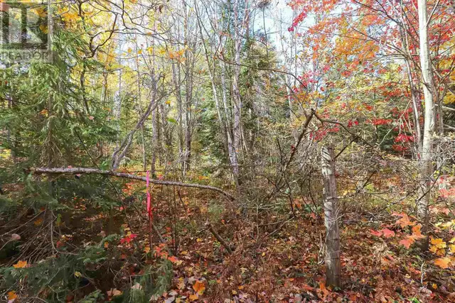 Lot 19 Nokomis Beach RD Sault Ste. Marie, Ontario in Land for Sale in Sault Ste. Marie - Image 5